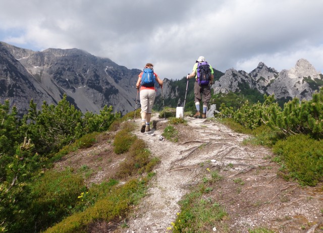 Ljubeljščica   12.06.2019 - foto