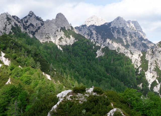 Ljubeljščica   12.06.2019 - foto