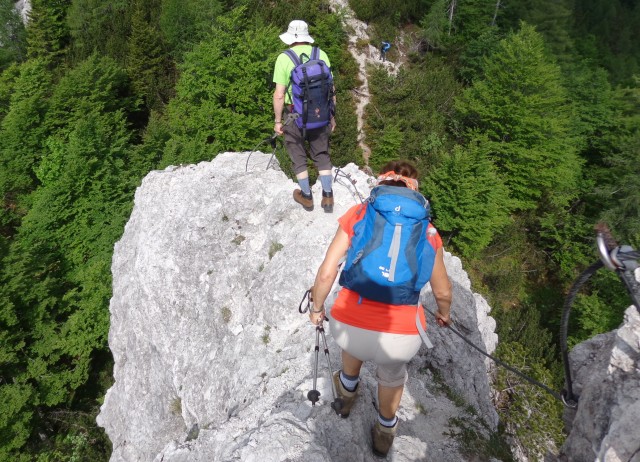 Ljubeljščica   12.06.2019 - foto