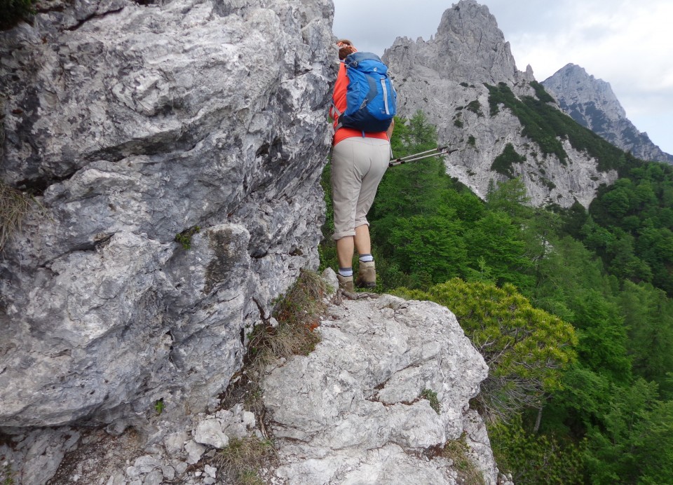 Ljubeljščica   12.06.2019 - foto povečava