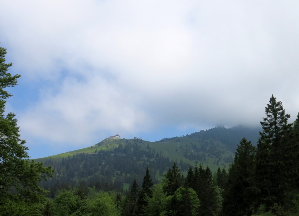 Planina košutna   05.06.2019 - foto povečava