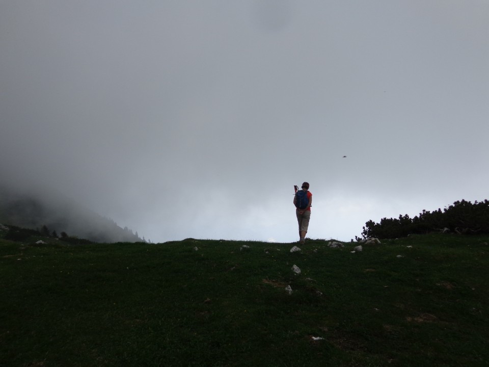 Planina košutna   05.06.2019 - foto povečava