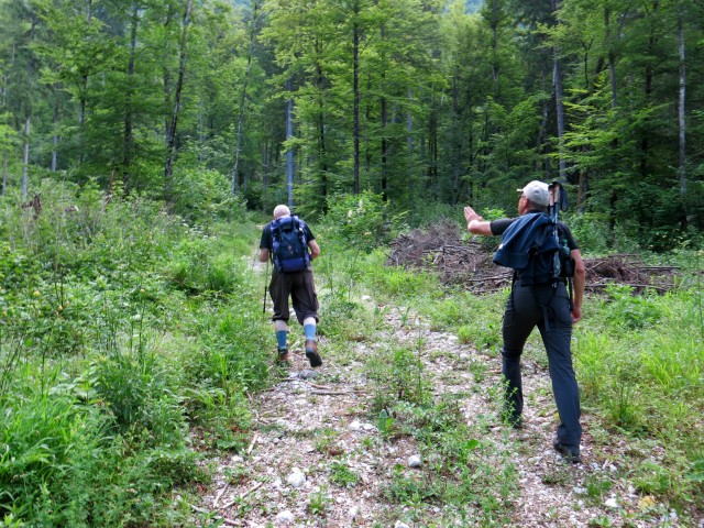 Martinj steza, sestop čez Kuklarje 15.06.2019 - foto