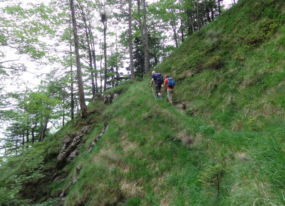 Martinj steza, sestop čez Kuklarje 15.06.2019 - foto povečava