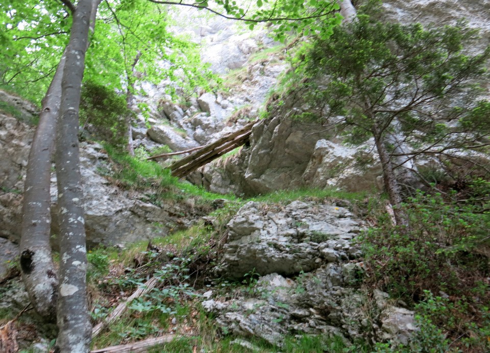 Martinj steza, sestop čez Kuklarje 15.06.2019 - foto povečava