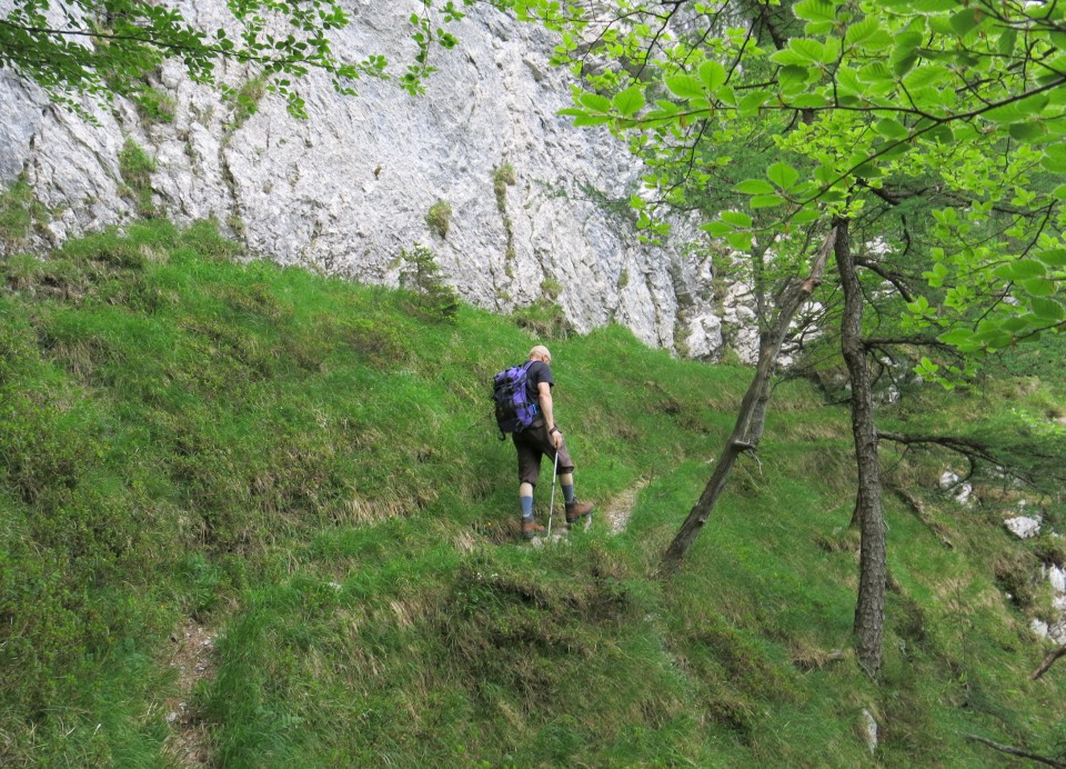 Martinj steza, sestop čez Kuklarje 15.06.2019 - foto povečava