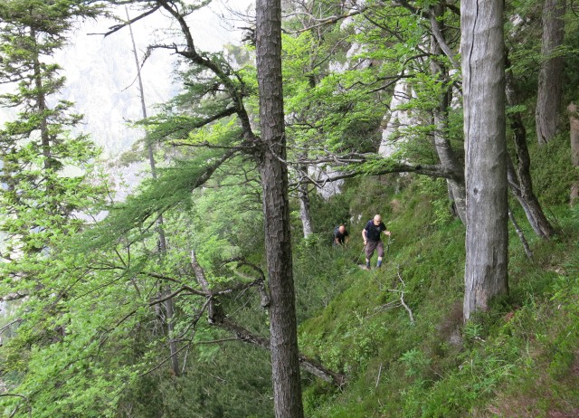 Martinj steza, sestop čez Kuklarje 15.06.2019 - foto