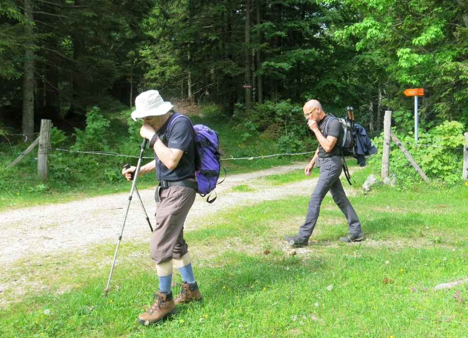 Martinj steza, sestop čez Kuklarje 15.06.2019 - foto povečava