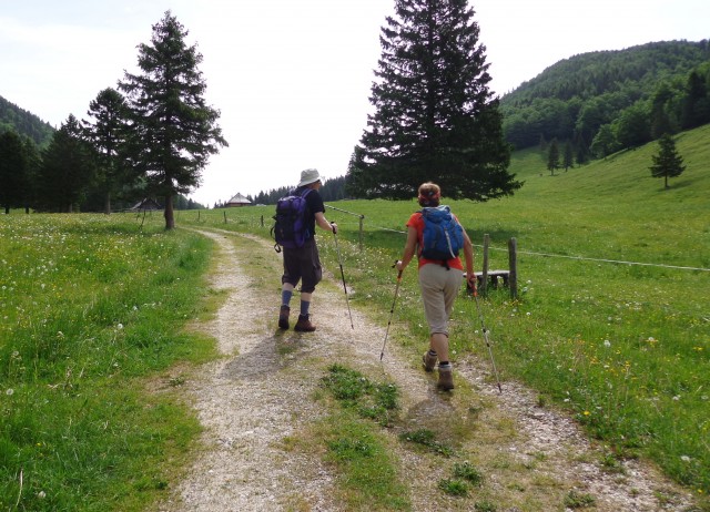 Martinj steza, sestop čez Kuklarje 15.06.2019 - foto