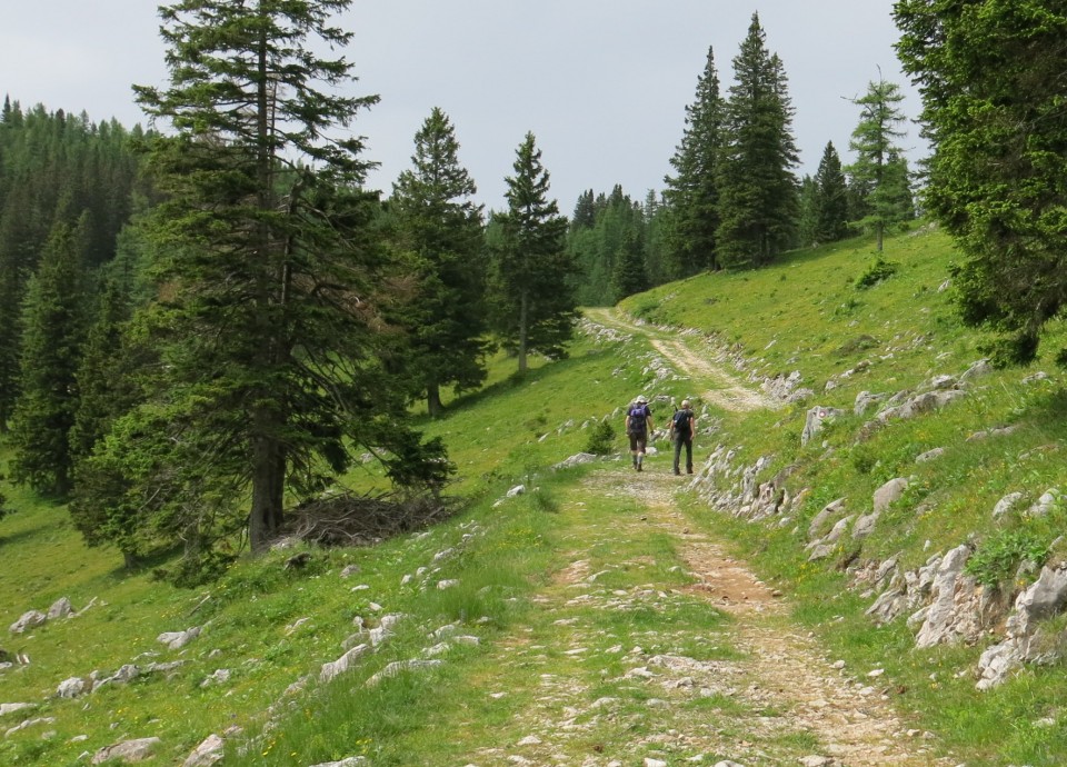 Martinj steza, sestop čez Kuklarje 15.06.2019 - foto povečava