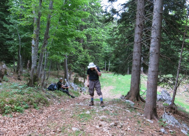 Martinj steza, sestop čez Kuklarje 15.06.2019 - foto