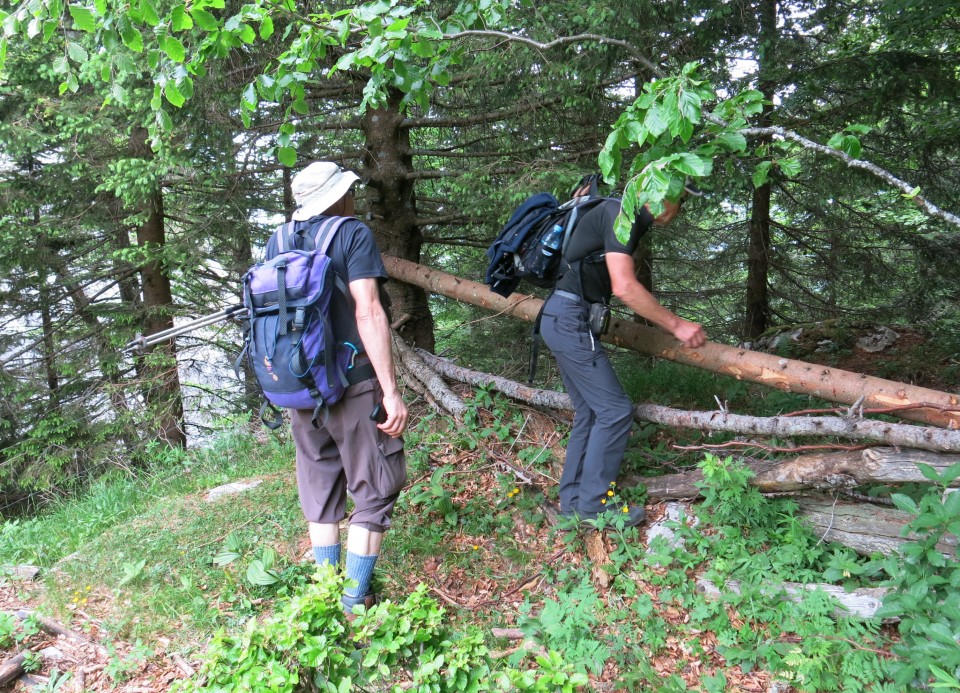 Martinj steza, sestop čez Kuklarje 15.06.2019 - foto povečava