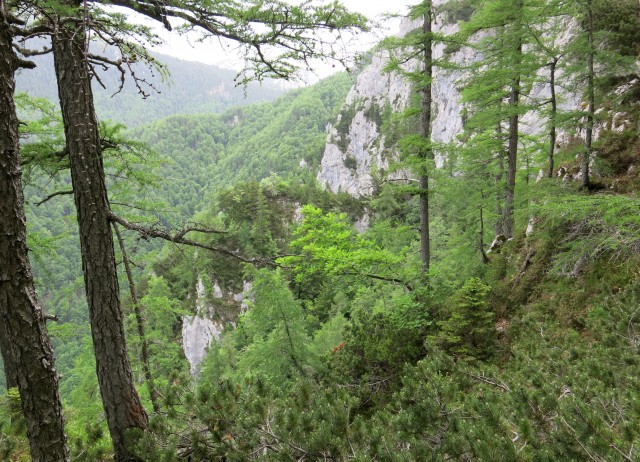 Martinj steza, sestop čez Kuklarje 15.06.2019 - foto