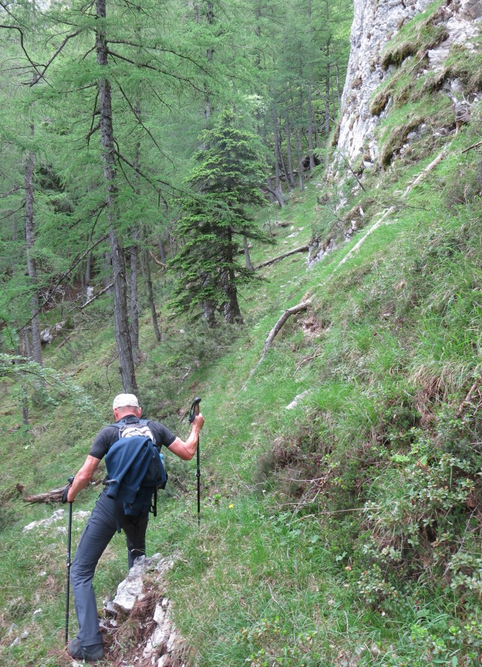 Martinj steza, sestop čez Kuklarje 15.06.2019 - foto povečava