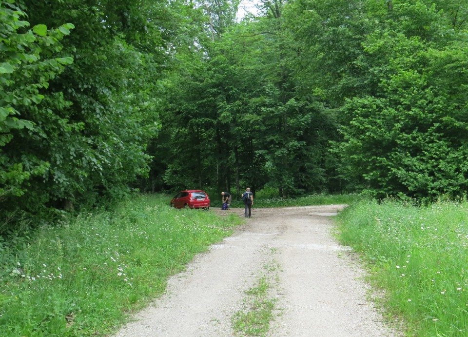 Martinj steza, sestop čez Kuklarje 15.06.2019 - foto povečava