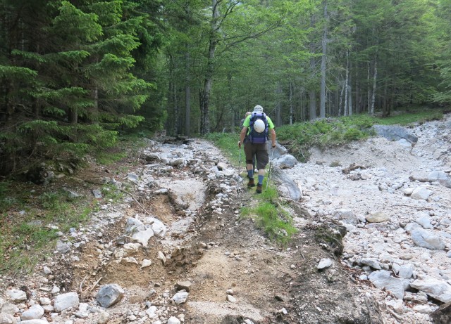 Kalška gora   21.06.2019 - foto