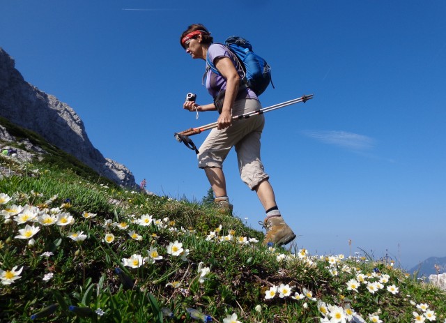 Kalška gora   21.06.2019 - foto