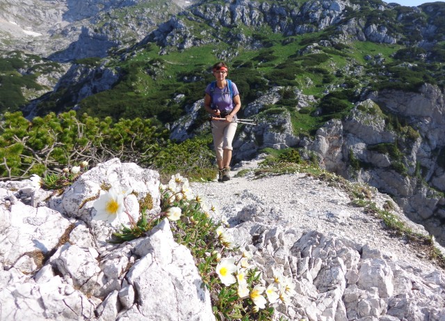 Kalška gora   21.06.2019 - foto