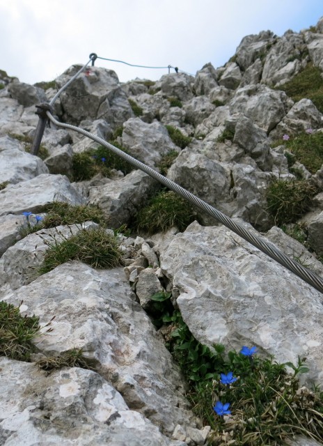 Kalška gora   21.06.2019 - foto