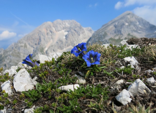 Kalška gora   21.06.2019 - foto