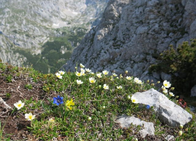 Kalška gora   21.06.2019 - foto