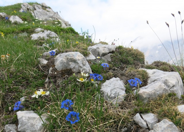 Kalška gora   21.06.2019 - foto