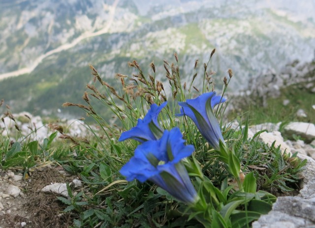 Kalška gora   21.06.2019 - foto