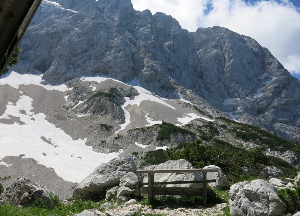 Ledine   26.06.2019 - foto povečava