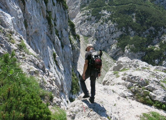 Ledine   26.06.2019 - foto