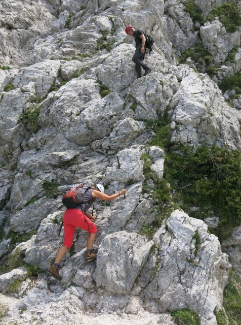 Ledine   26.06.2019 - foto