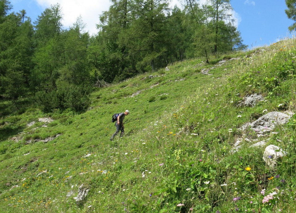 Okrog blejske  19.07.2019 - foto povečava