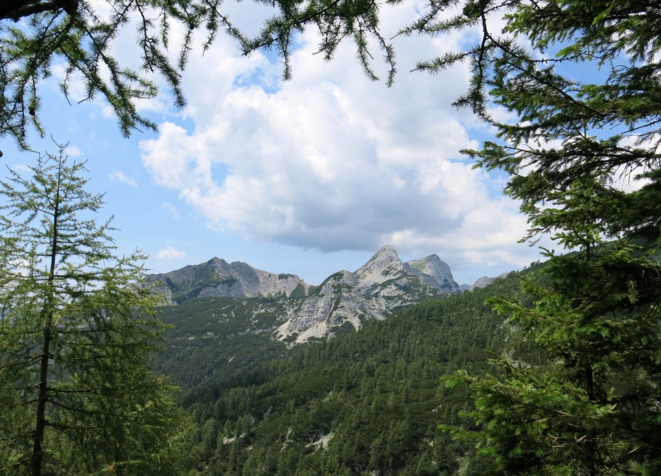 Okrog blejske  19.07.2019 - foto povečava