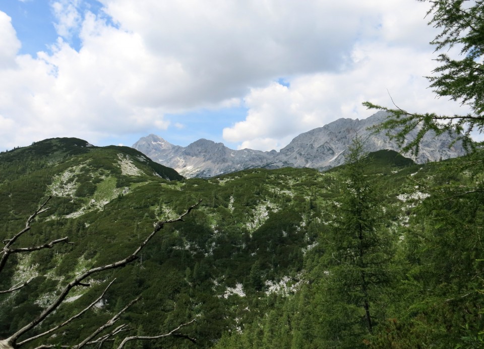 Okrog blejske  19.07.2019 - foto povečava