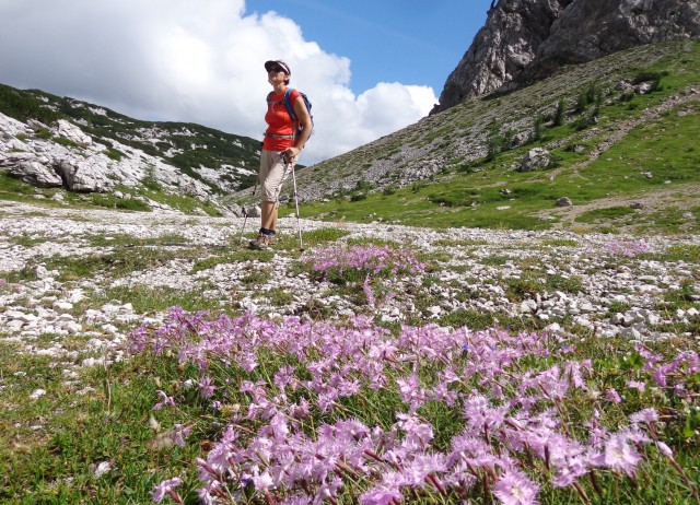 Pod draškim vrhom  09.08.2019 - foto