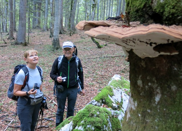 KRNIŠKA glavica - Jof di Sompdogna  4.9.2019 - foto