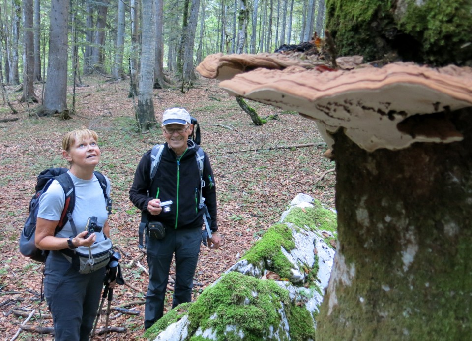 KRNIŠKA glavica - Jof di Sompdogna  4.9.2019 - foto povečava