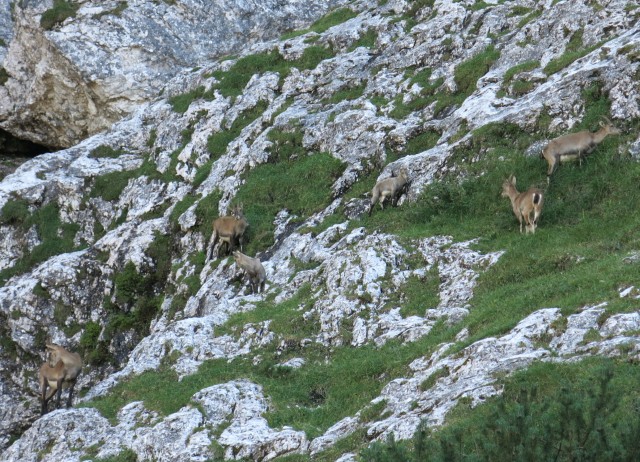 KRNIŠKA glavica - Jof di Sompdogna  4.9.2019 - foto