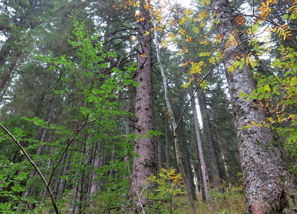 Vodnikov dom + Dolič  28.09.2019 - foto povečava