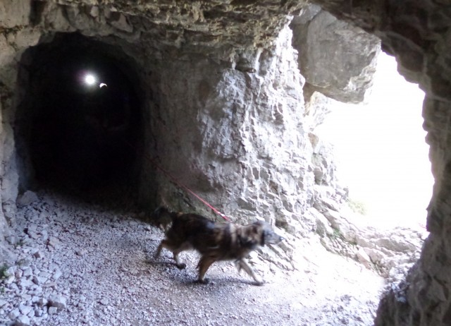 Bornovi tuneli - Prevala  08.10.2019 - foto