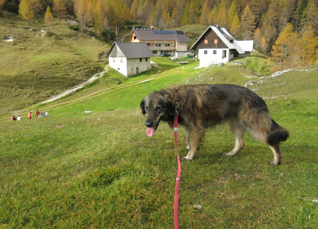 Silva + Petra na Blejski  17.10.2019 - foto