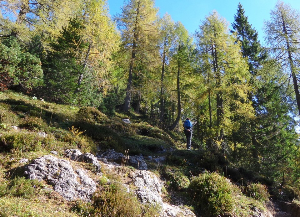 Brda  11.10.2019 - foto povečava