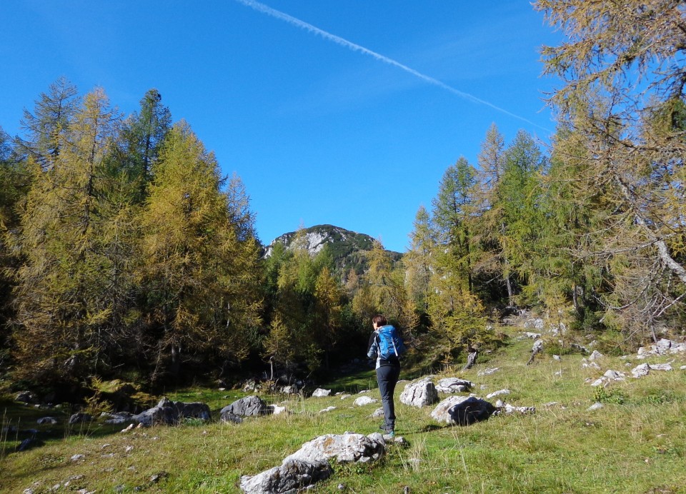 Brda  11.10.2019 - foto povečava