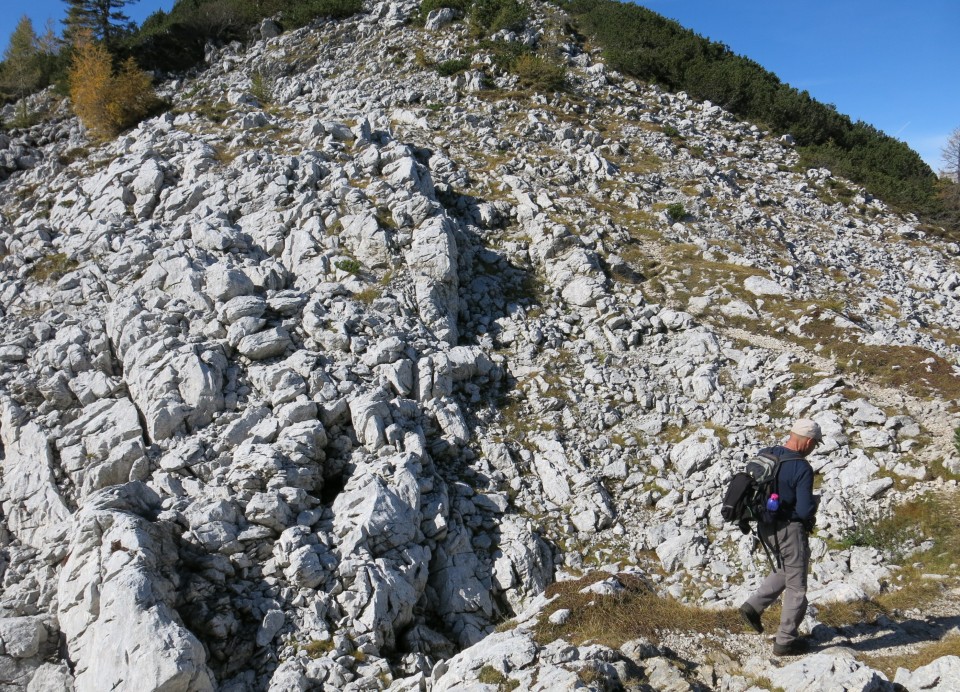 Brda  11.10.2019 - foto povečava