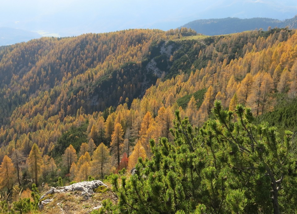 Krstenica + stogi 24.10.2019 - foto povečava