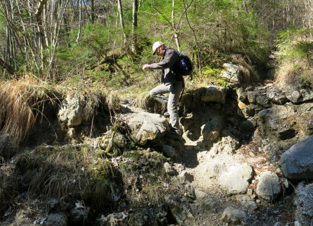 Kamniški vrhu- mal okrog   20.03.2020 - foto