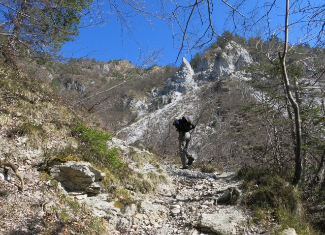 Kamniški vrhu- mal okrog   20.03.2020 - foto