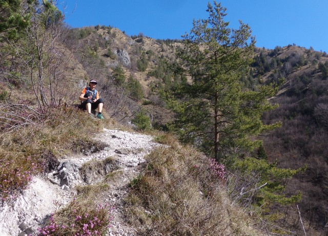 Kamniški vrhu- mal okrog   20.03.2020 - foto