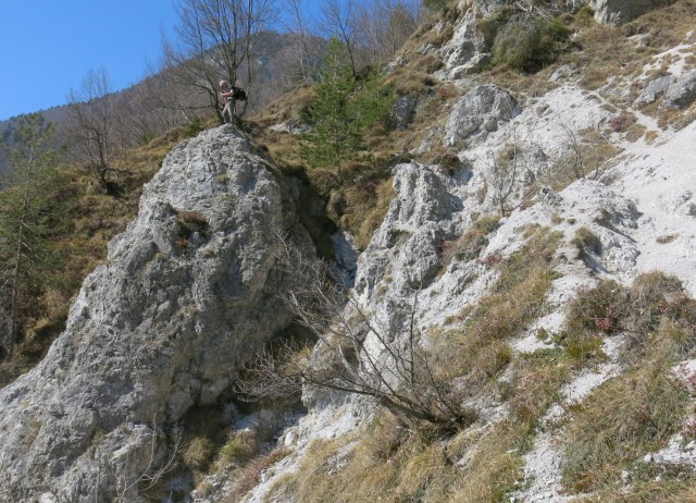 Kamniški vrhu- mal okrog   20.03.2020 - foto