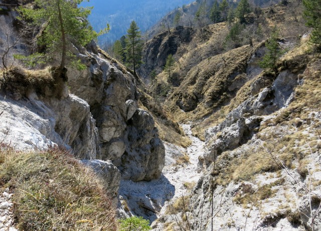 Kamniški vrhu- mal okrog   20.03.2020 - foto