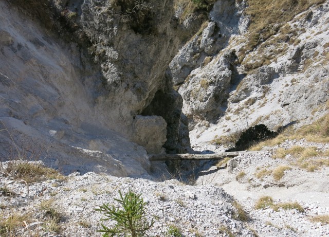 Kamniški vrhu- mal okrog   20.03.2020 - foto